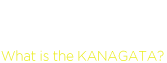 什么是模具 What is the KANAGATA?