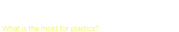 注射成型塑料模具是指 What is the mold for plastics?